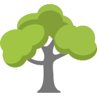 Las Cruces Tree Removal